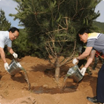 Tree planting event to mark the 18th anniversary of the sister city partnership (Yanqing District Yanqing Prefecture)