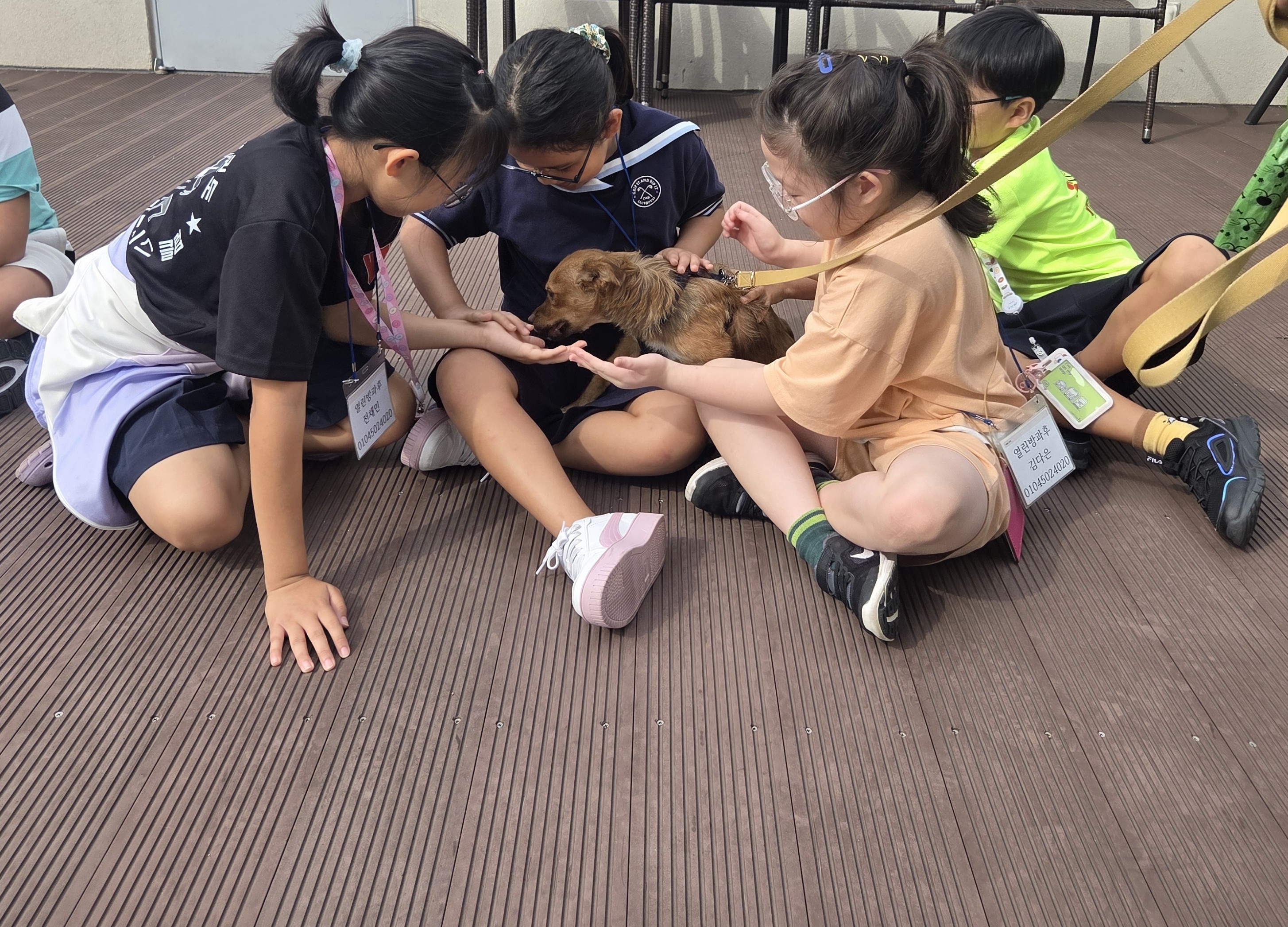 동대문구 동물복지지원센터를 칭찬합니다.(전농동 열린방과후 어린이집) 이미지 1 - 본문에 자세한설명을 제공합니다.