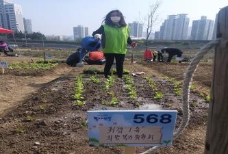 1인가구 지원사업 우리들의 텃밭 가꾸기 이미지