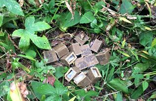 야생동물 광견병 미끼예방약 살포 안내문 이미지 1 - 본문에 자세한설명을 제공합니다.