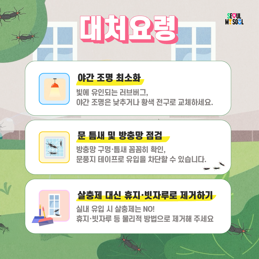 러브버그, 이렇게 대처하세요! 이미지 5 - 본문에 자세한설명을 제공합니다.