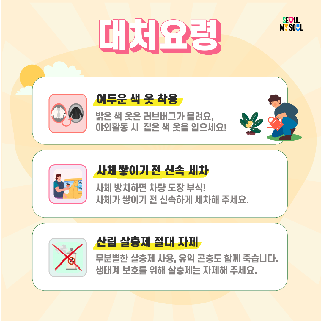 러브버그, 이렇게 대처하세요! 이미지 6 - 본문에 자세한설명을 제공합니다.