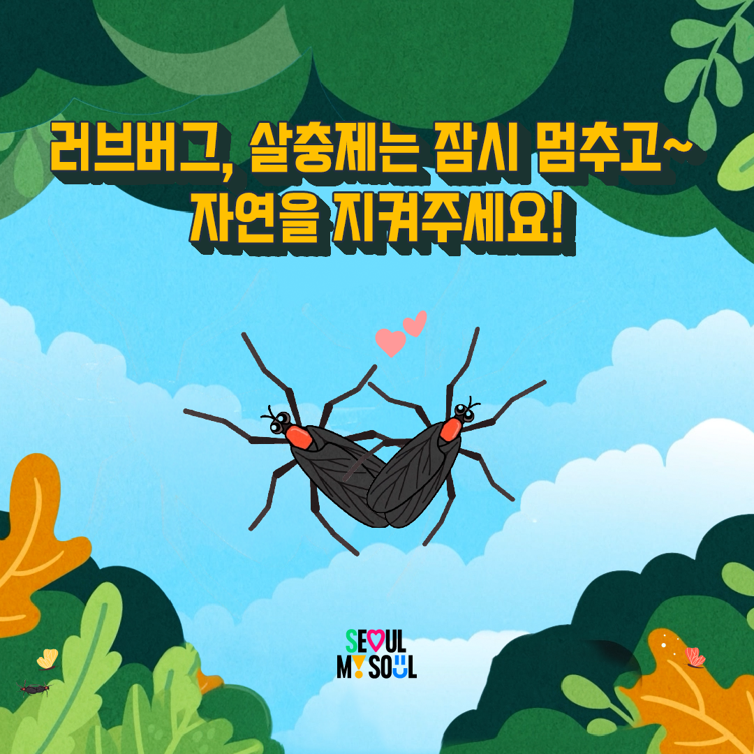 러브버그, 이렇게 대처하세요! 이미지 7 - 본문에 자세한설명을 제공합니다.