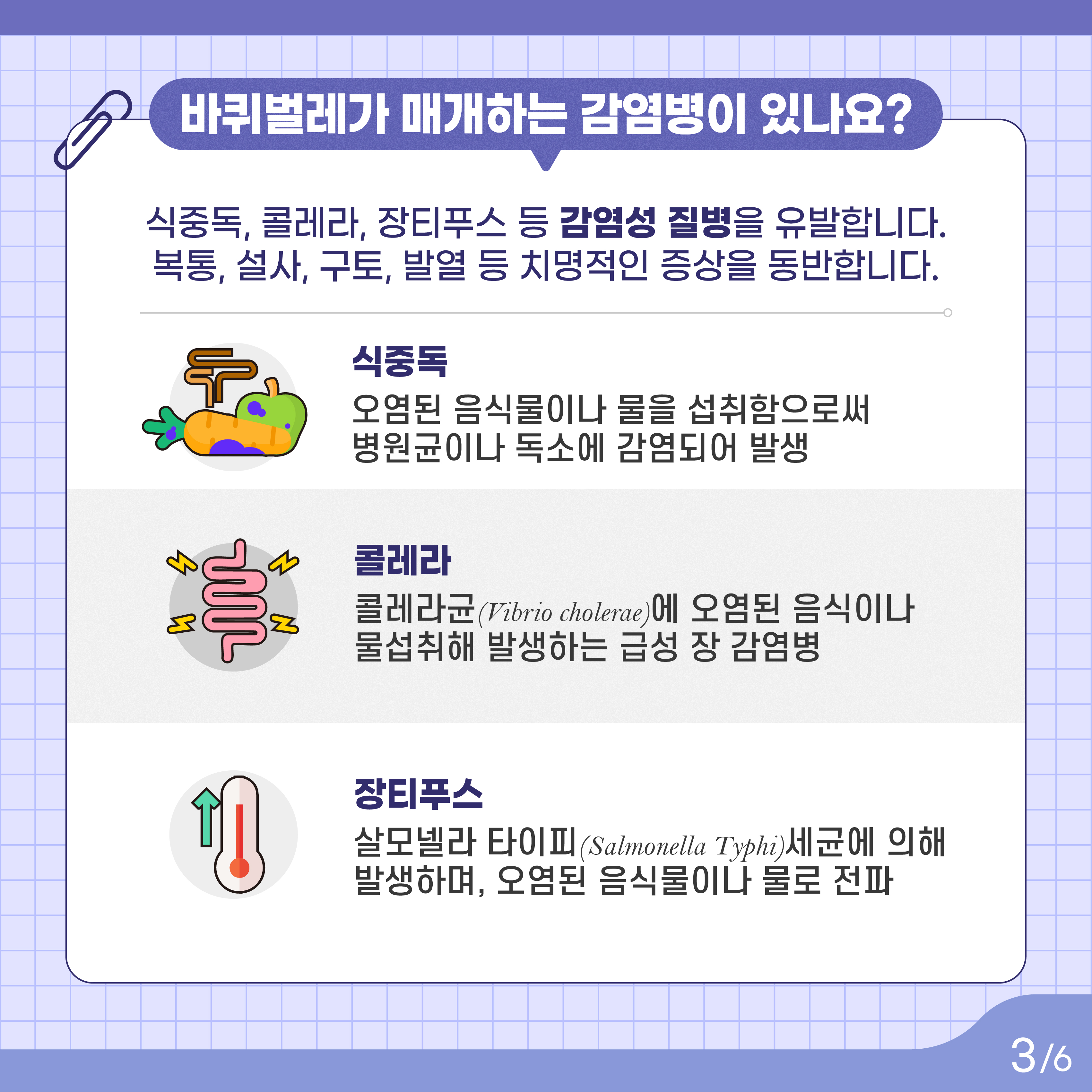 바퀴벌레 방충을 통해 더욱 안전하고 청결한 시설 만들기 이미지 3 - 본문에 자세한설명을 제공합니다.