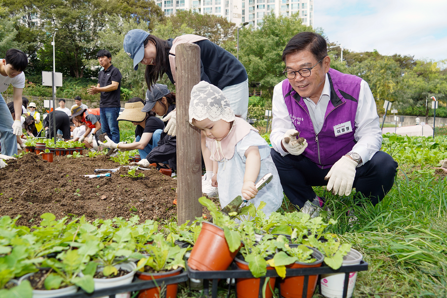 ‘클라랑스’와 함께 다문화가정 어린이들이 참여하는 배추 심기 체험 행사 이미지 1 - 본문에 자세한설명을 제공합니다.