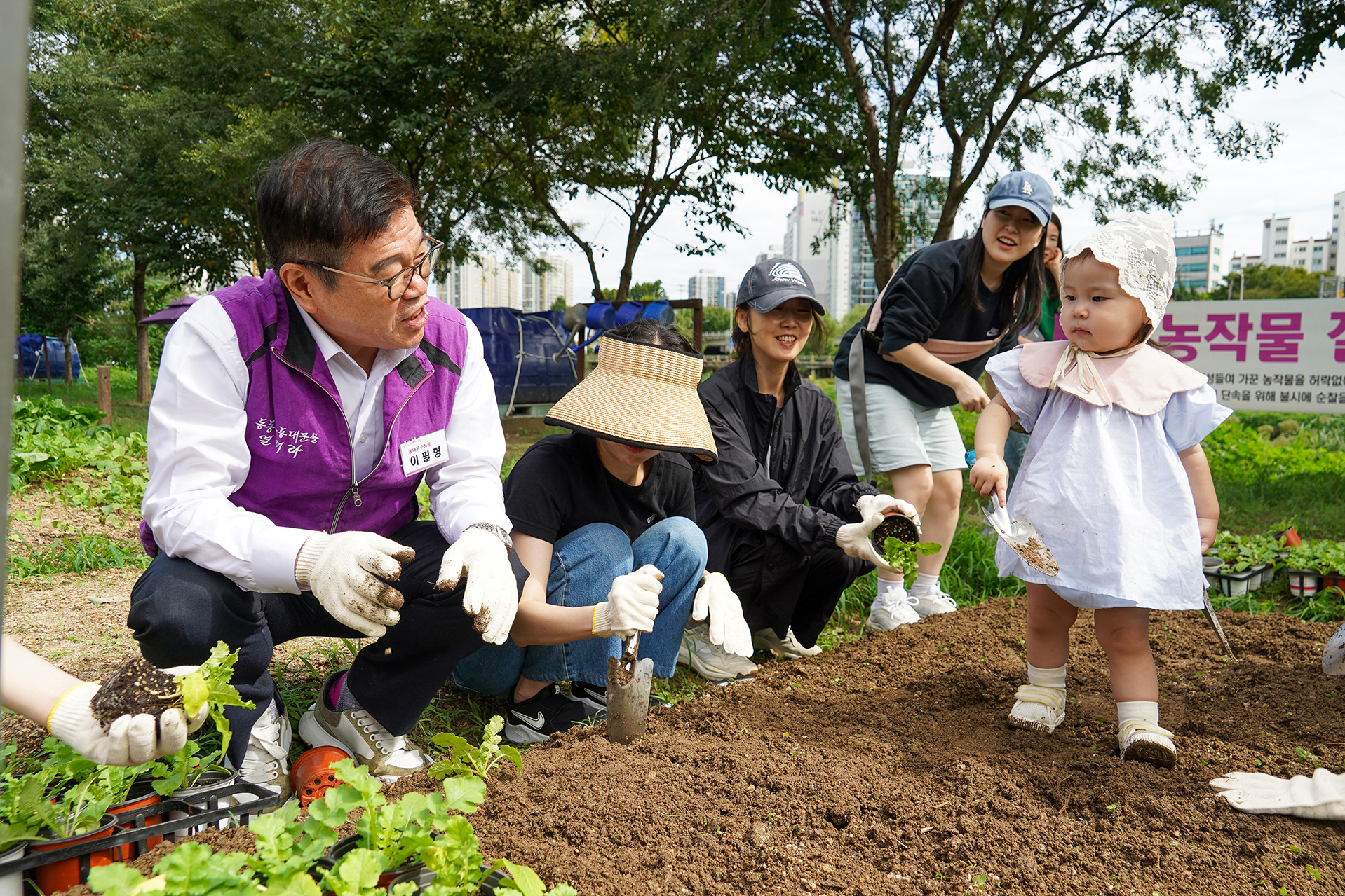 ‘클라랑스’와 함께 다문화가정 어린이들이 참여하는 배추 심기 체험 행사 이미지 2 - 본문에 자세한설명을 제공합니다.