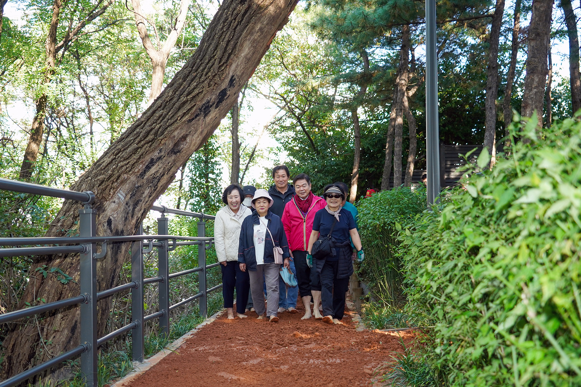 답십리근린공원 황톳길 개장 이미지 3 - 본문에 자세한설명을 제공합니다.