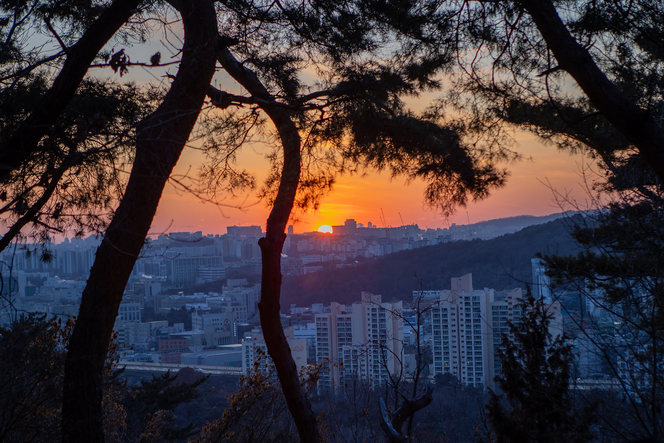 천장산 해넘이 이미지 8 - 본문에 자세한설명을 제공합니다.