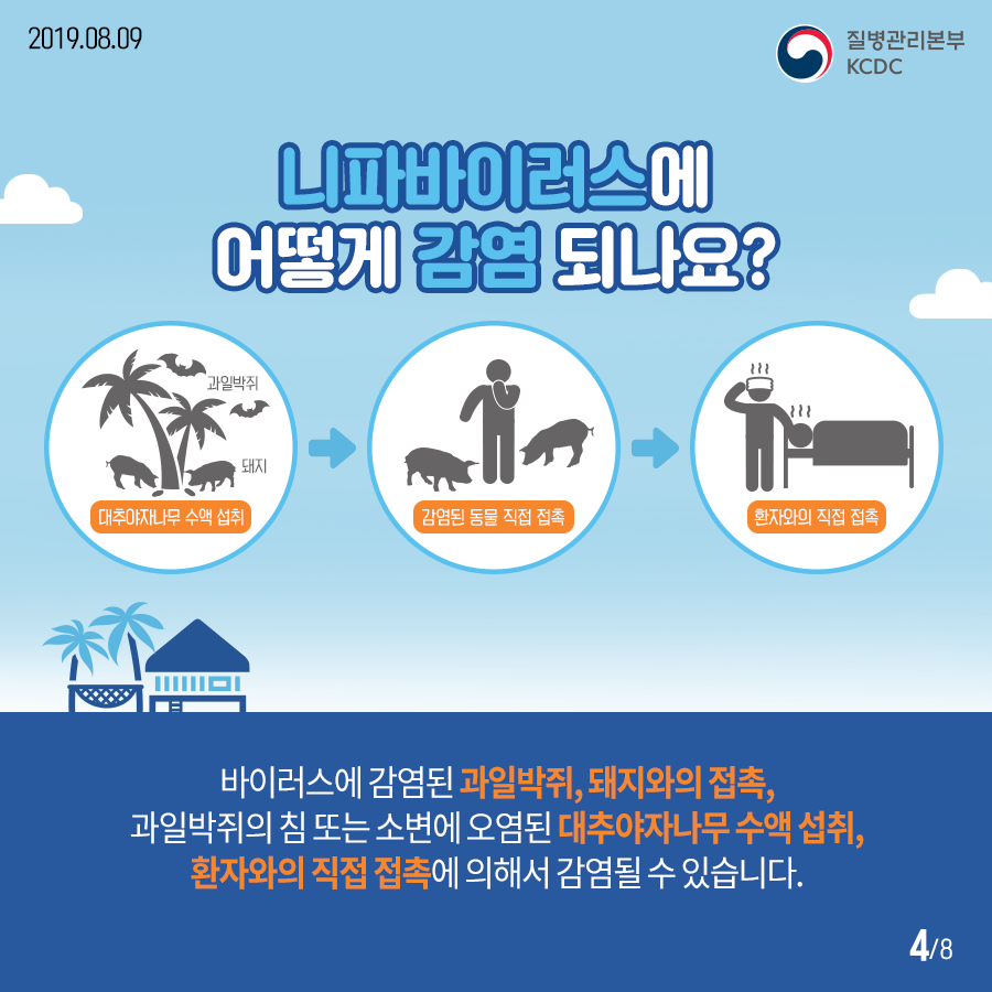 니파바이러스감염증 바로알기! 이미지 3 - 본문에 자세한설명을 제공합니다.