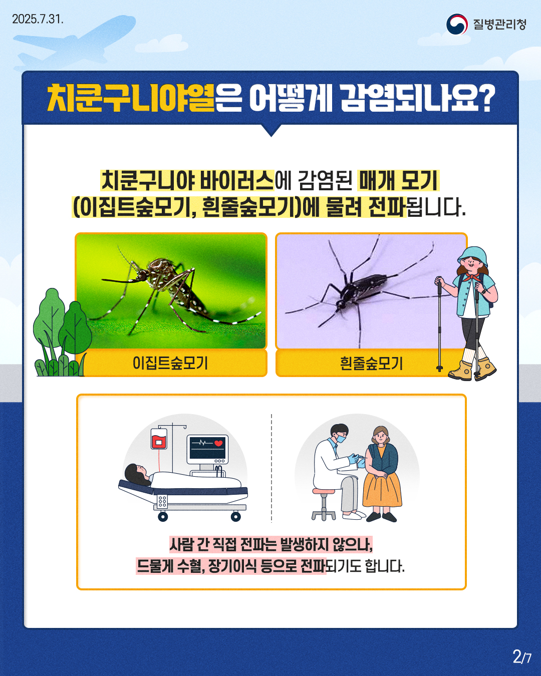 모기매개감염병, 치쿤구니야열 이미지 2 - 본문에 자세한설명을 제공합니다.