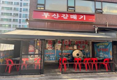 부산갈매기 이미지