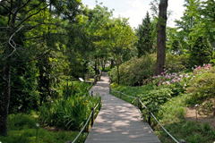 Hongneung Arboretum