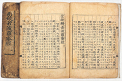 Geumganggyeongsamgahae