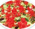 빨간색의 나팔꽃 모양의 꽃잎에 다른 길다란 나팔모양의 꽃잎이 메달려 있는 모양의 사루비아