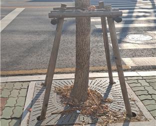 가로수 지지대 훼손(장안동) 정비 후 사진입니다.