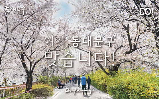 여기, 동대문구 맞습니다!
