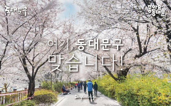 여기, 동대문구 맞습니다!